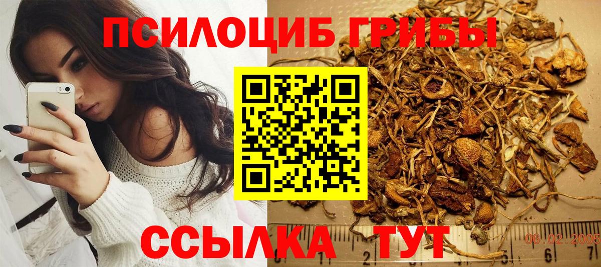 Ржев  Псилоцибиновые грибы мицелий  Вход с VPN 