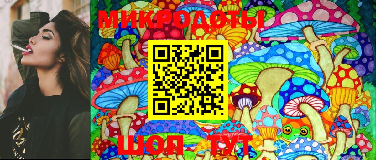 Галлюциногенные грибы Psilocybe Ржев